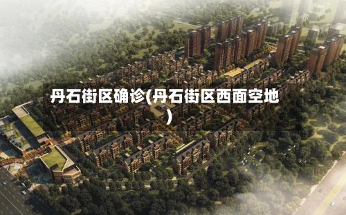 丹石街区确诊(丹石街区西面空地)-第2张图片