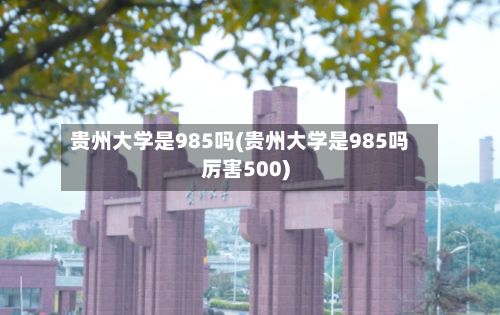贵州大学是985吗(贵州大学是985吗厉害500)