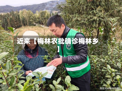 近来【梅林农批确诊梅林乡】-第2张图片