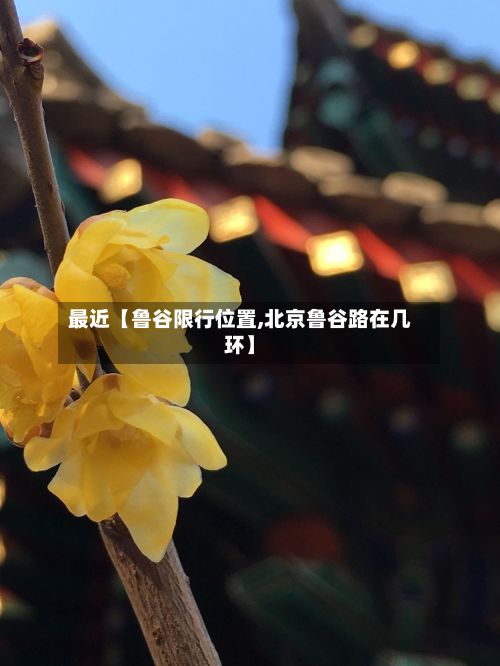 最近【鲁谷限行位置,北京鲁谷路在几环】-第2张图片