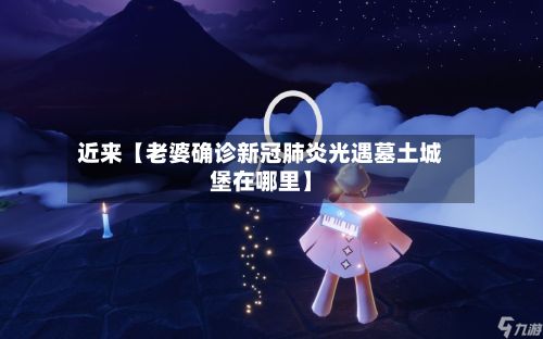 近来【老婆确诊新冠肺炎光遇墓土城堡在哪里】-第2张图片