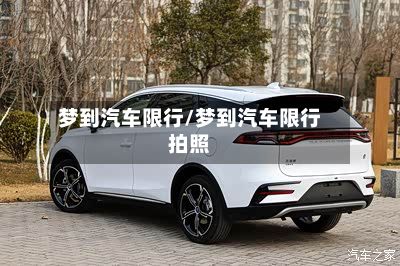 梦到汽车限行/梦到汽车限行拍照