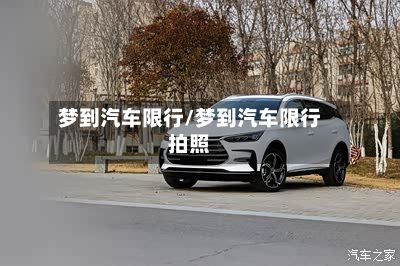 梦到汽车限行/梦到汽车限行拍照-第2张图片