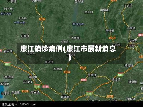 廉江确诊病例(廉江市最新消息)-第2张图片