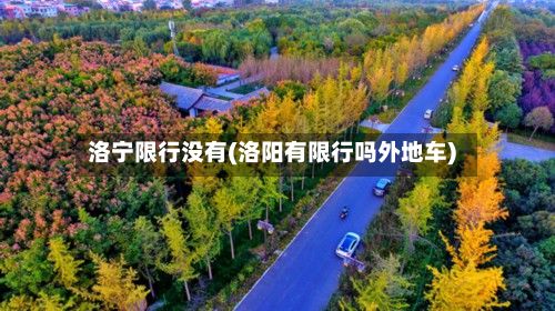 洛宁限行没有(洛阳有限行吗外地车)