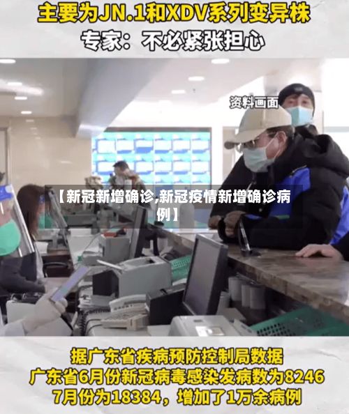 【新冠新增确诊,新冠疫情新增确诊病例】-第2张图片