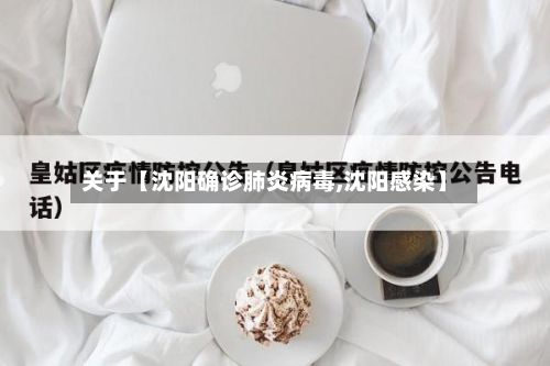 关于【沈阳确诊肺炎病毒,沈阳感染】-第2张图片