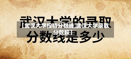 【武汉大学投档分数线,武汉大学录取分数段】-第2张图片