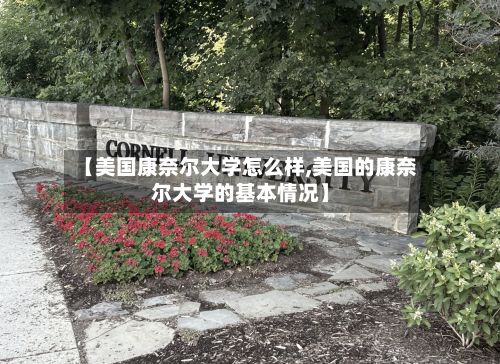 【美国康奈尔大学怎么样,美国的康奈尔大学的基本情况】