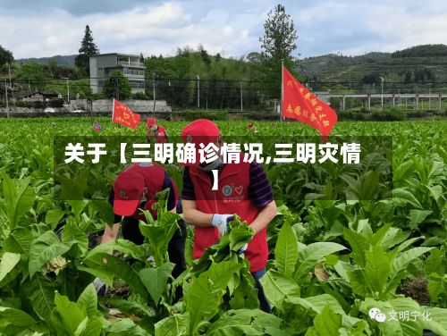 关于【三明确诊情况,三明灾情】