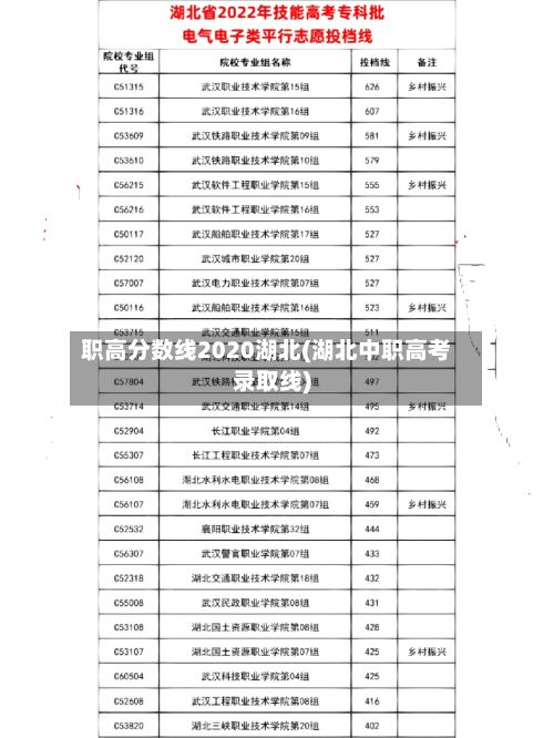 职高分数线2020湖北(湖北中职高考录取线)