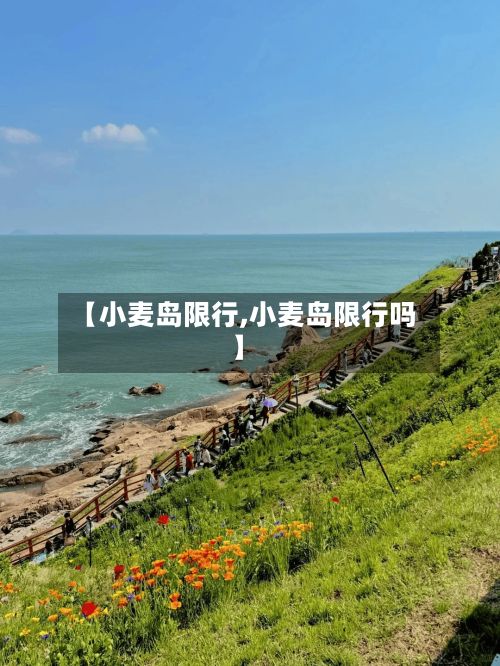 【小麦岛限行,小麦岛限行吗】
