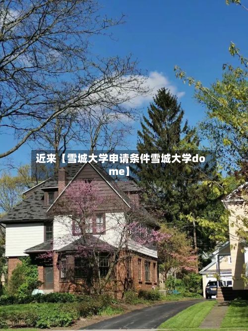 近来【雪城大学申请条件雪城大学dome】-第3张图片