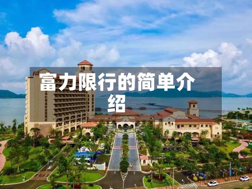 富力限行的简单介绍-第2张图片
