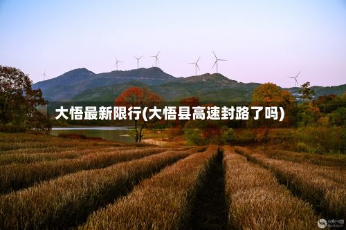 大悟最新限行(大悟县高速封路了吗)