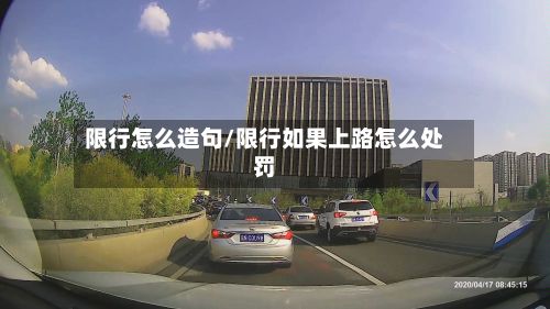 限行怎么造句/限行如果上路怎么处罚-第2张图片