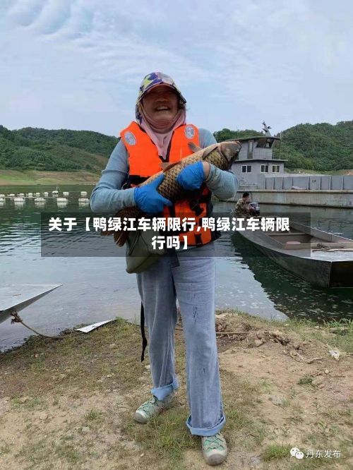 关于【鸭绿江车辆限行,鸭绿江车辆限行吗】-第2张图片