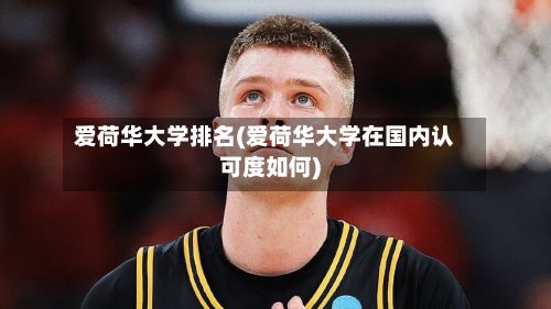 爱荷华大学排名(爱荷华大学在国内认可度如何)-第3张图片