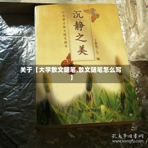 关于【大学散文随笔,散文随笔怎么写】-第3张图片