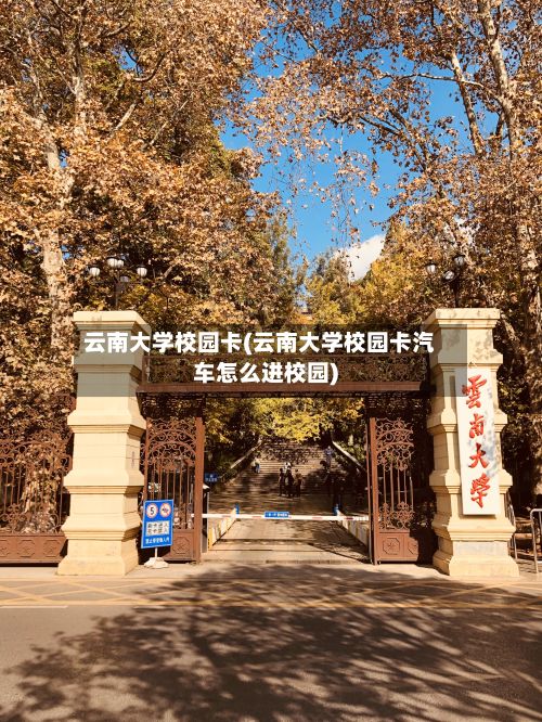 云南大学校园卡(云南大学校园卡汽车怎么进校园)