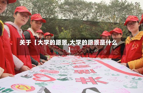 关于【大学的愿景,大学的愿景是什么】