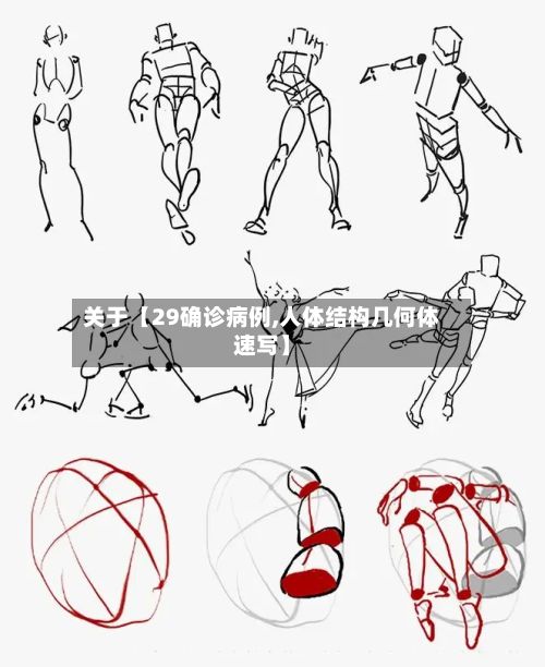 关于【29确诊病例,人体结构几何体速写】
