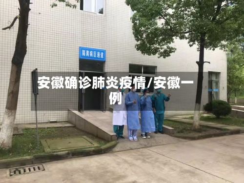 安徽确诊肺炎疫情/安徽一例-第2张图片