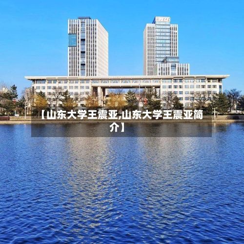 【山东大学王震亚,山东大学王震亚简介】