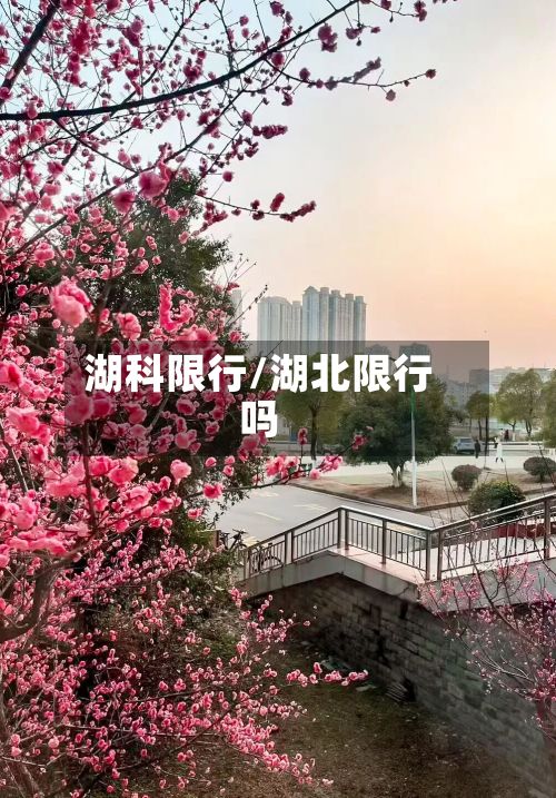 湖科限行/湖北限行吗-第3张图片