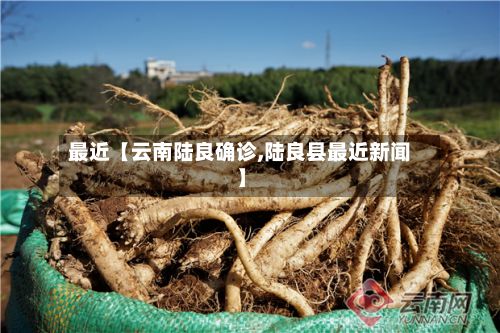 最近【云南陆良确诊,陆良县最近新闻】-第2张图片