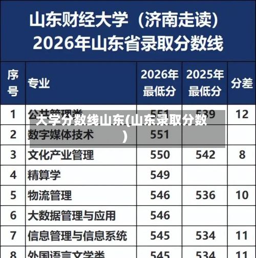大学分数线山东(山东录取分数)-第3张图片