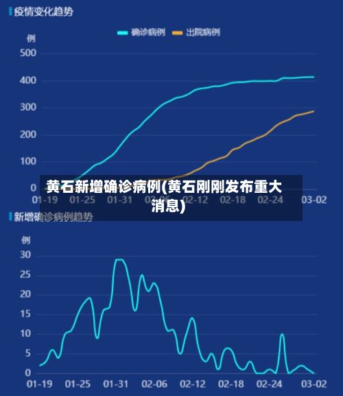 黄石新增确诊病例(黄石刚刚发布重大消息)-第2张图片