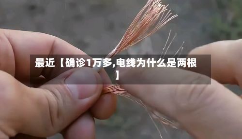 最近【确诊1万多,电线为什么是两根】-第3张图片