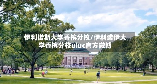 伊利诺斯大学香槟分校/伊利诺伊大学香槟分校uiuc官方微博