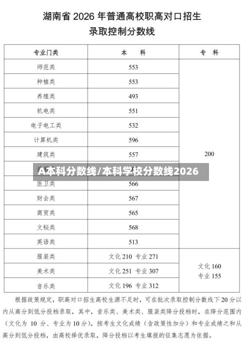 A本科分数线/本科学校分数线2026-第2张图片