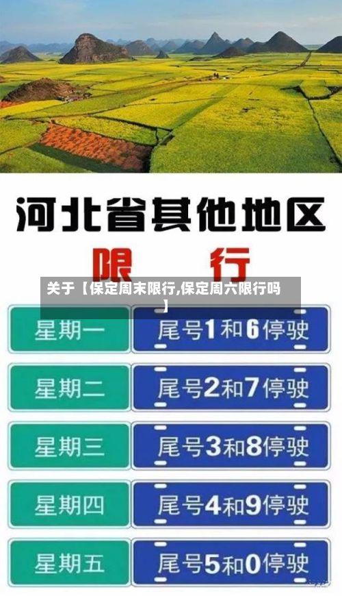 关于【保定周末限行,保定周六限行吗】-第3张图片