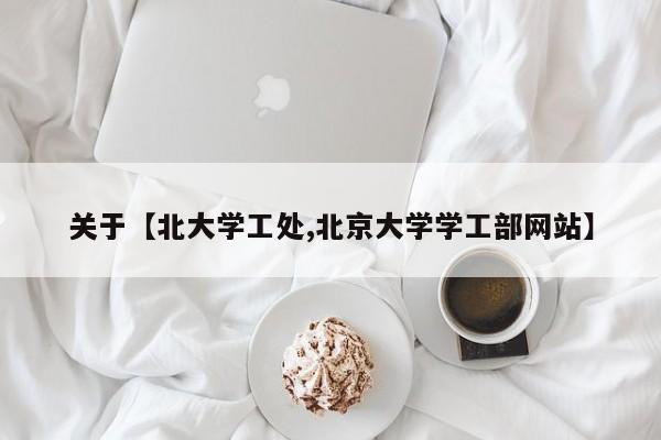 关于【北大学工处,北京大学学工部网站】