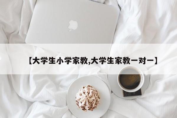 【大学生小学家教,大学生家教一对一】